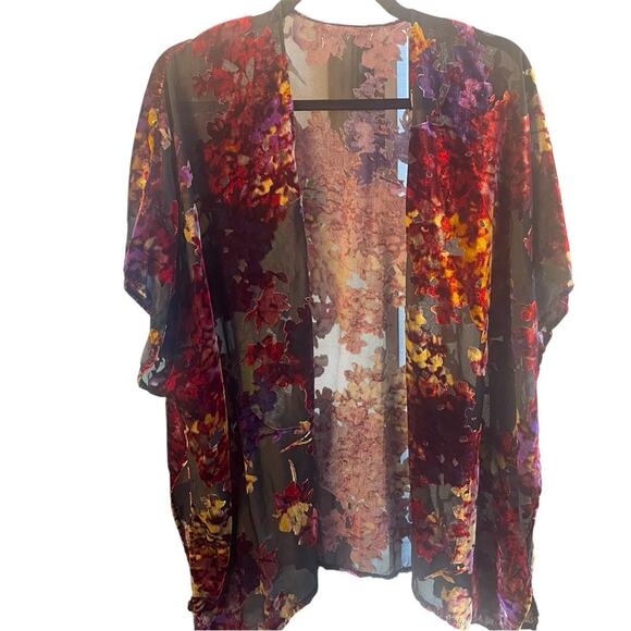 Other - Burnout Floral Velvet Kimono, Multicolor on Black Sheer Fabric, Artsy, Boho, L